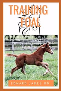Training Foal