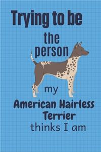 Trying to be the person my American Hairless Terrier thinks I am