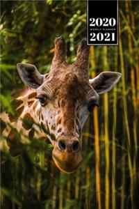 Giraffe Safari Week Planner Weekly Organizer Calendar 2020 / 2021 - From the Jungle