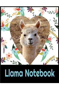Llama Notebook