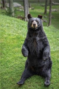 Beary Special Friend Journal