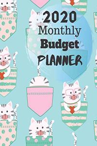 Monthly Budget Planner 2020