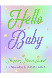 Pregnancy Planner Journal 9 Months Journey Week-by-Week Guide to Childbirth
