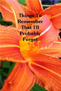 Things To Remember That I'll Probably Forget
