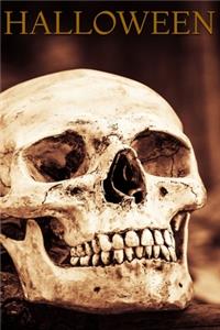 Halloween, Skull Notebook, Memory Book to Write or Draw , 6x9, 100 Beautiful Pages, Notes, Journal, Memory Book