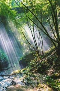 Nature Notebook