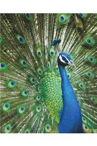 Peacock Graph Paper