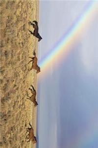 Wild Horses and a Rainbow Journal