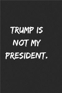 Trump Is Not My President