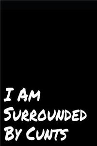 I Am Surrounded by Cunts