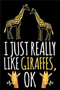 I Just Really Like Giraffes, Ok