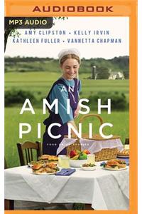 An Amish Picnic