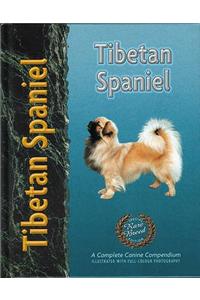 Tibetan Spaniel