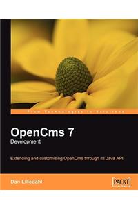 OpenCms 7 Development