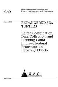 Endangered sea turtles