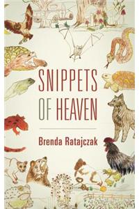 Snippets of Heaven