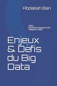 Enjeux & Défis du Big Data