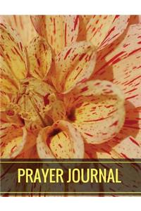 Prayer Journal