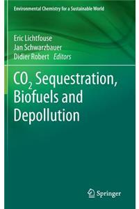 CO2 Sequestration, Biofuels and Depollution