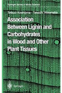 Association Between Lignin and Carbohydrates in Wood and Other Plant Tissues
