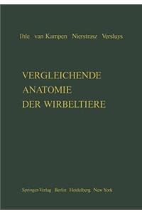 Vergleichende Anatomie Der Wirbeltiere