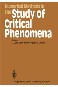 Numerical Methods in the Study of Critical Phenomena