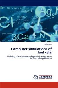 Computer simulations of fuel cells