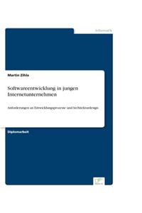 Softwareentwicklung in jungen Internetunternehmen