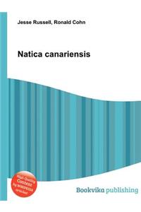 Natica Canariensis