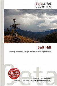 Salt Hill