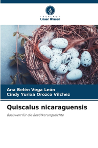 Quiscalus nicaraguensis