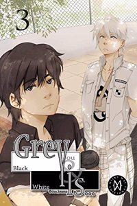 Grey Is 3