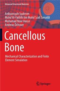 Cancellous Bone