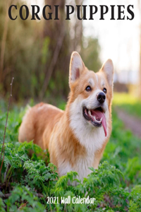Corgi Puppy 2021 Wall Calendar