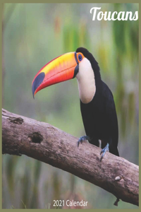 Toucans 2021 Calendar