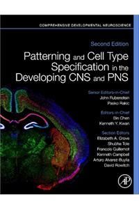 Patterning and Cell Type Specification in the Developing CNS and Pns