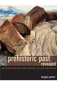 Prehistoric Past Revealed