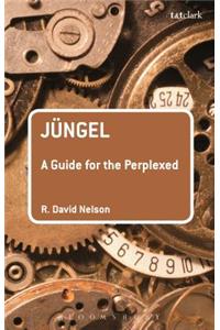 Jüngel: A Guide for the Perplexed