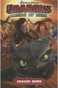 Dragons: Riders of Berk, Volume 1