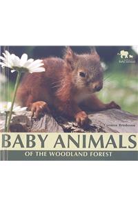 Baby Animals of the Woodland Forest