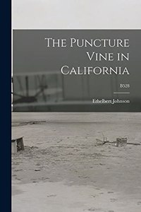 Puncture Vine in California; B528