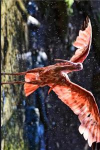 Eudocimus Ruber Scarlet Ibis Wings Spread Journa