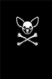 (Chihuahua)