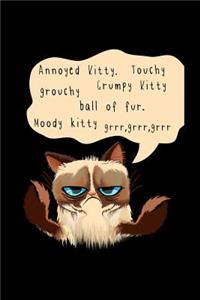 Annoyed Kitty