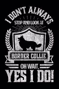 I Don't Always Stop and Look At Border Collie OH Wait, Yes I Do!