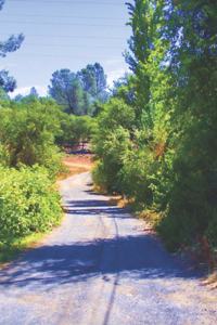 Vehicle Mileage Log Book