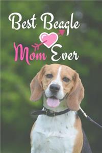 Best Beagle Mom Ever