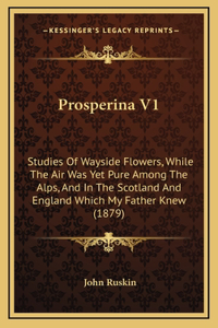 Prosperina V1