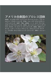 Amerika He Zhong Guonopuroresu Tuan T: Wwe, Konchinentaru Resuringu Asoshi Shon, Jimu Kuroketto Purom Shonzu, Fcw