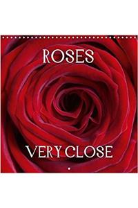 Roses Very Close 2018